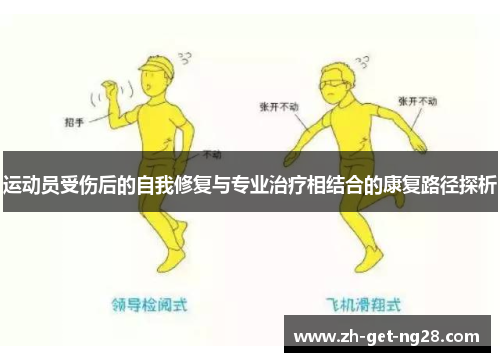 运动员受伤后的自我修复与专业治疗相结合的康复路径探析
