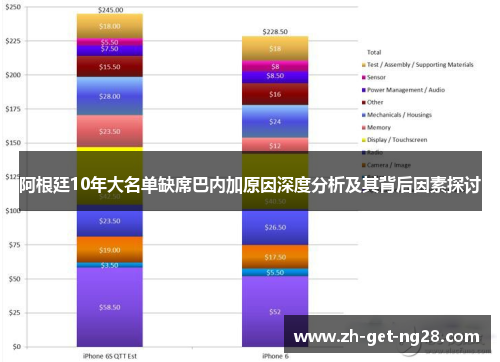 阿根廷10年大名单缺席巴内加原因深度分析及其背后因素探讨