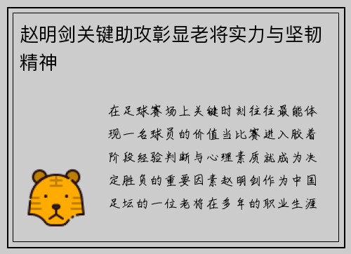 赵明剑关键助攻彰显老将实力与坚韧精神