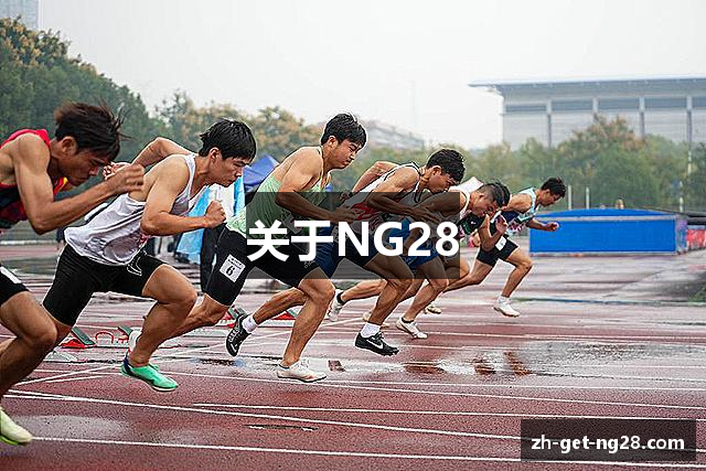 关于NG28
